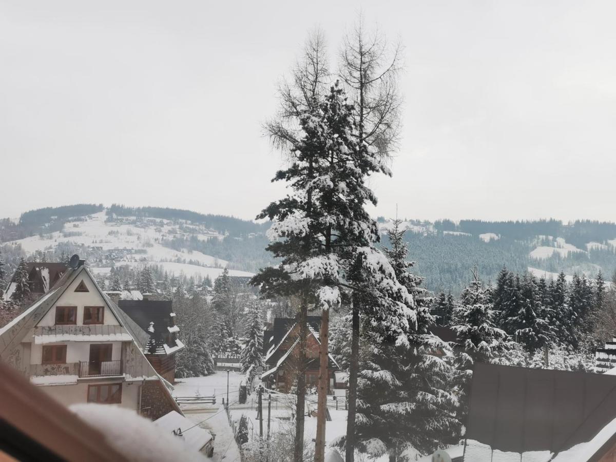 Apartamenty Villa Ski-Bowki Zakopane Bagian luar foto